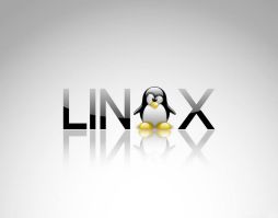 Három Linux régi PC-re!  - Régi a vas? Tegyen rá linuxot!